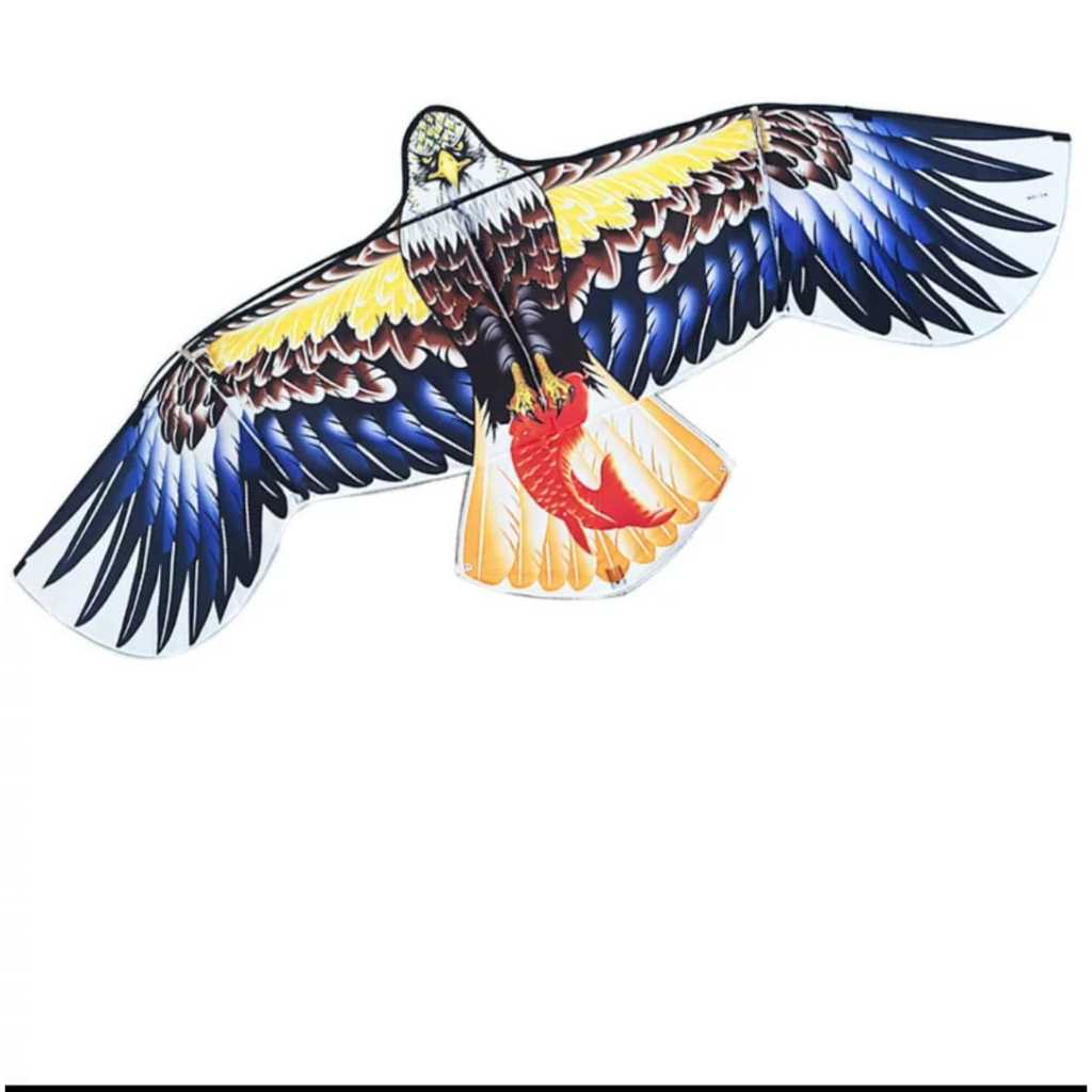 3 meteran layangan elang jumbo , layang-layang.