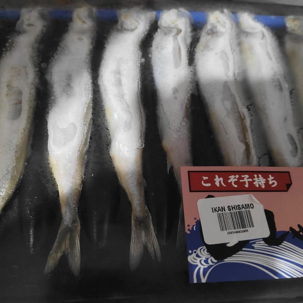 

ikan shisamo