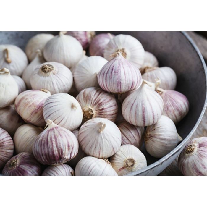 

Bawang Tunggal/Bawang Lanang