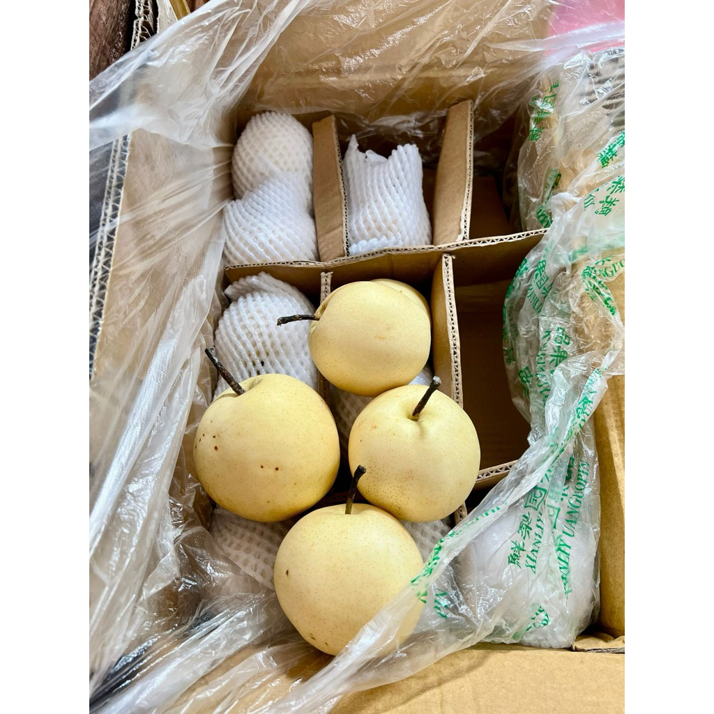 

BUAH PIER CENTURY FRESH 1kg