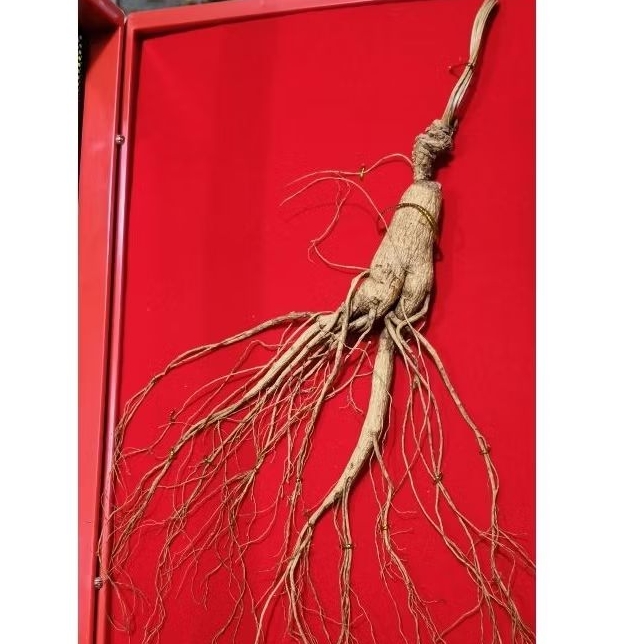 

Zhang Bai Shan Ren Shen/Ginseng Liar (100% Asli)