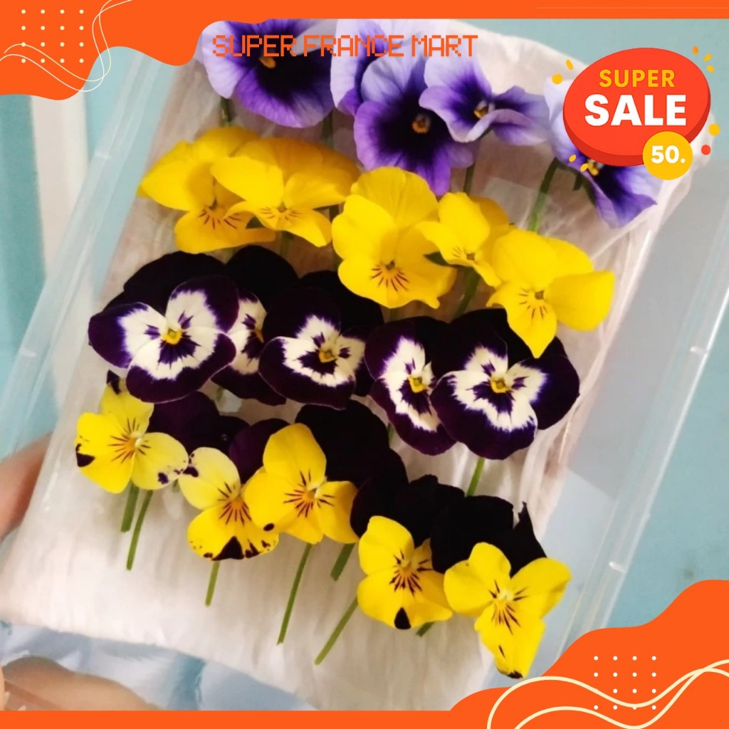 

VIOLA EDIBLE FLOWER SEGAR ISI 20 PCS GARNISH MAKANAN & MINUMAN