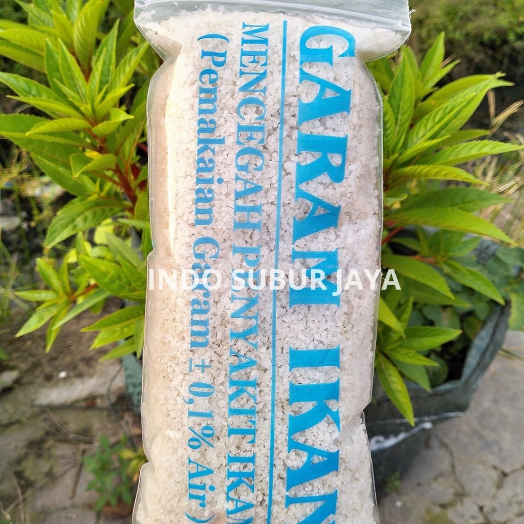 

Garam Ikan 500 Gram Mencegah Penyakit Ikan