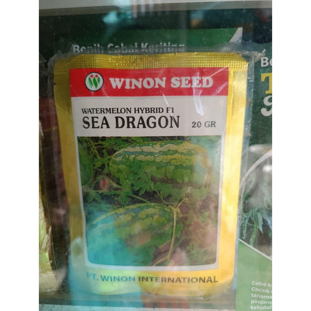 Benih Semangka SEA DRAGON 20 GR