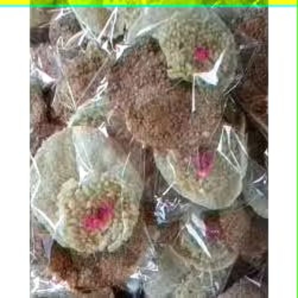 

jajan upacara uli begina