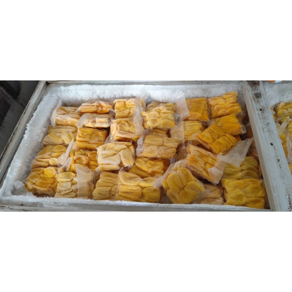 

Nangka Madu Tanpa Biji