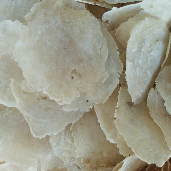 

Emping Melinjo Mentah (1000Gr)