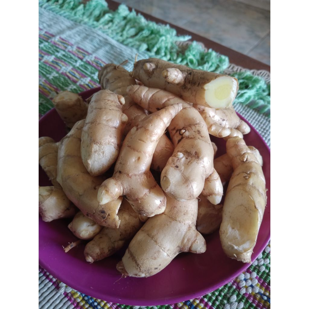 

kunyit / temu putih fresh 1 kg