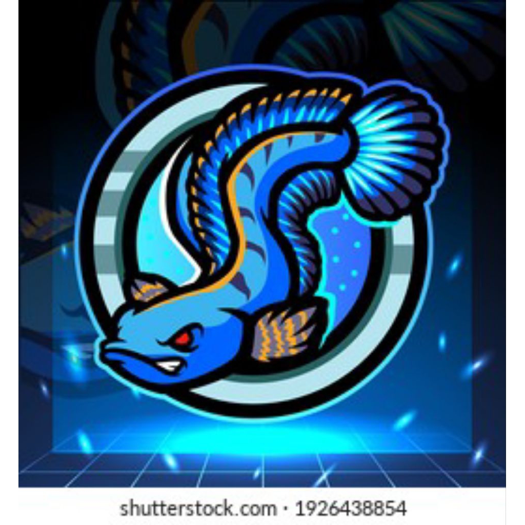 

Stiker Channa berkualitas