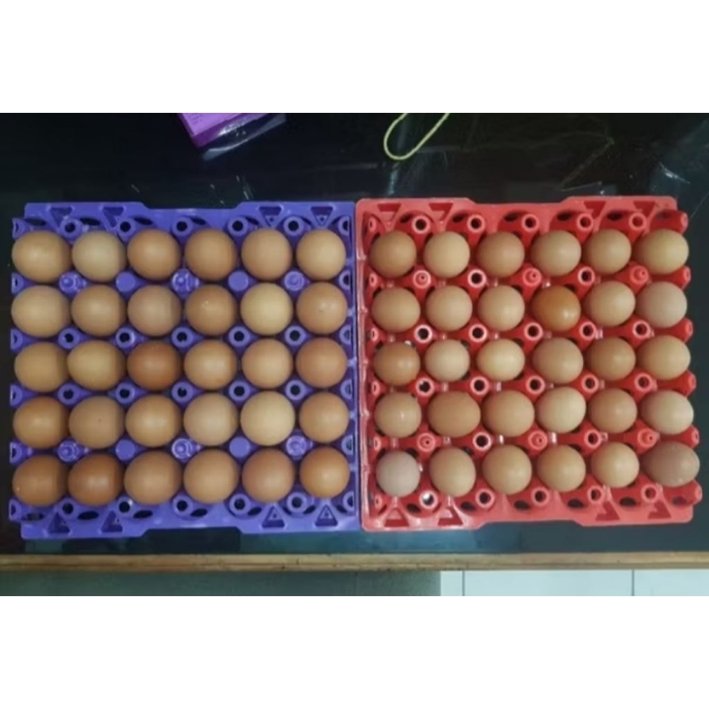 

Telor Ayam Negeri 1kg