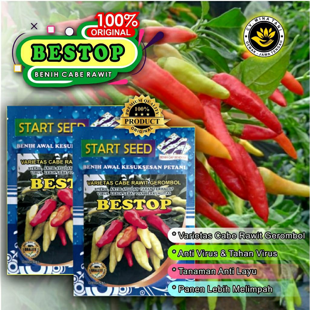 Bibit Cabe Rawit Unggul BESTOP Bibit Cabe Kaliber Unggul Tahan Virus Benih Cabe Rawit Unggul Bibit C