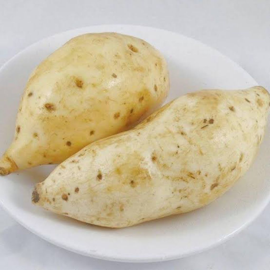 

Ubi Putih Segar Organik 1 Kg Free Ongkir