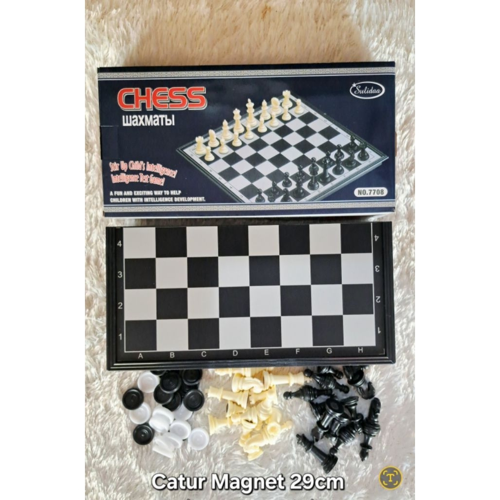 Catur Magnet Buah Plastik, Papan 29cm