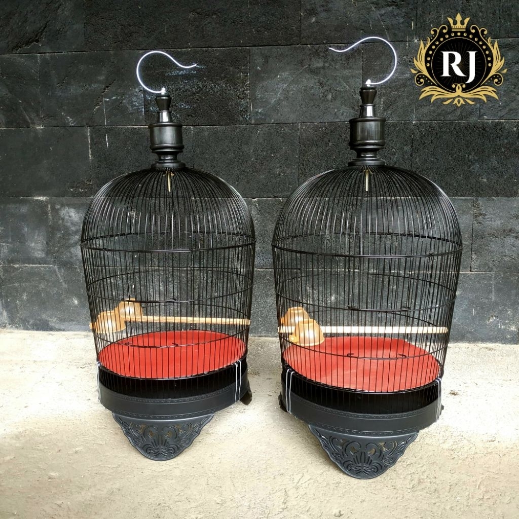 Sangkar perkutut puter derkuku besi anti tikus