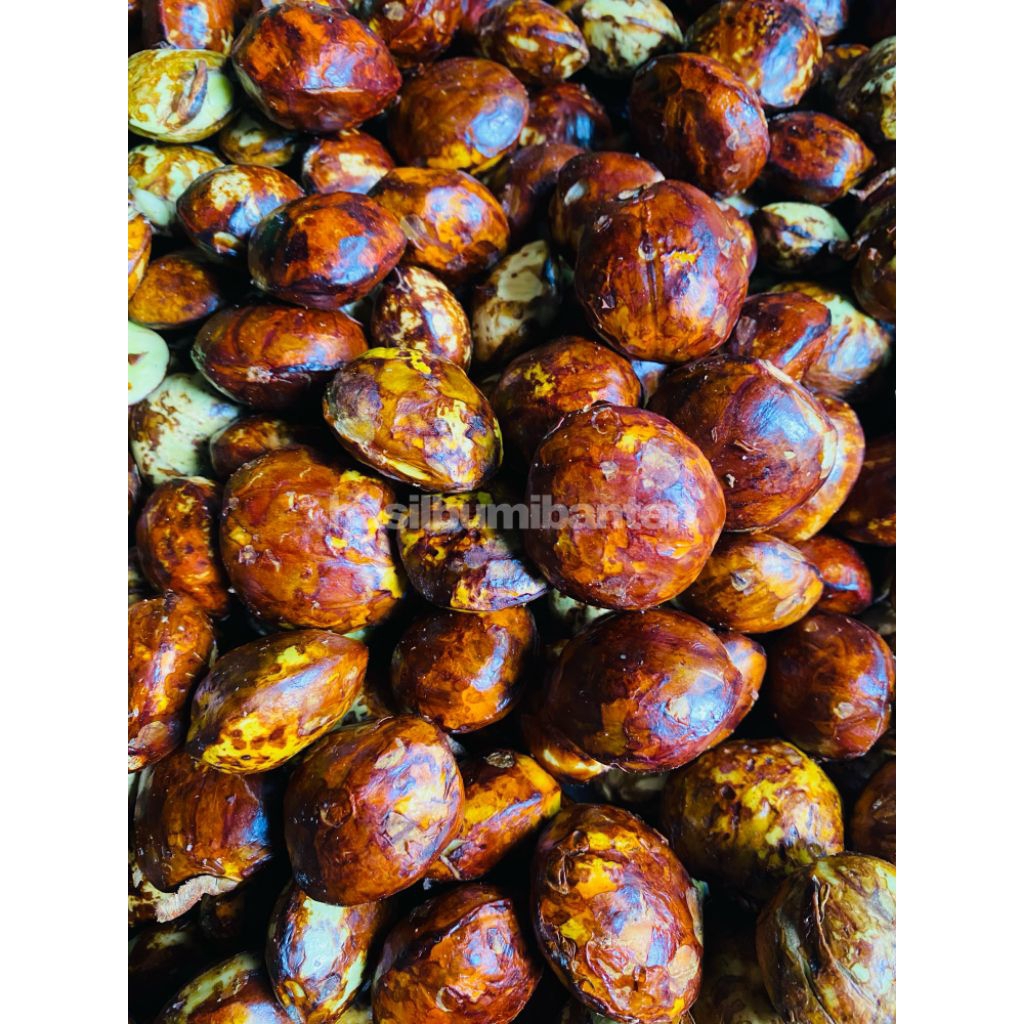 

JENGKOL TUA PATEN 1KG SUPER BIJI BESAR