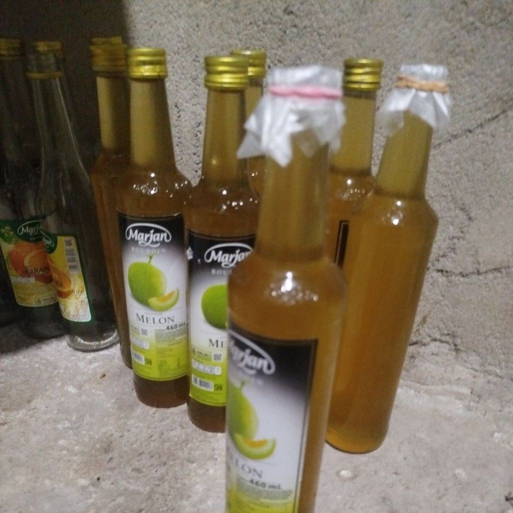 

madu murni tawon gung hutan liar sumatra