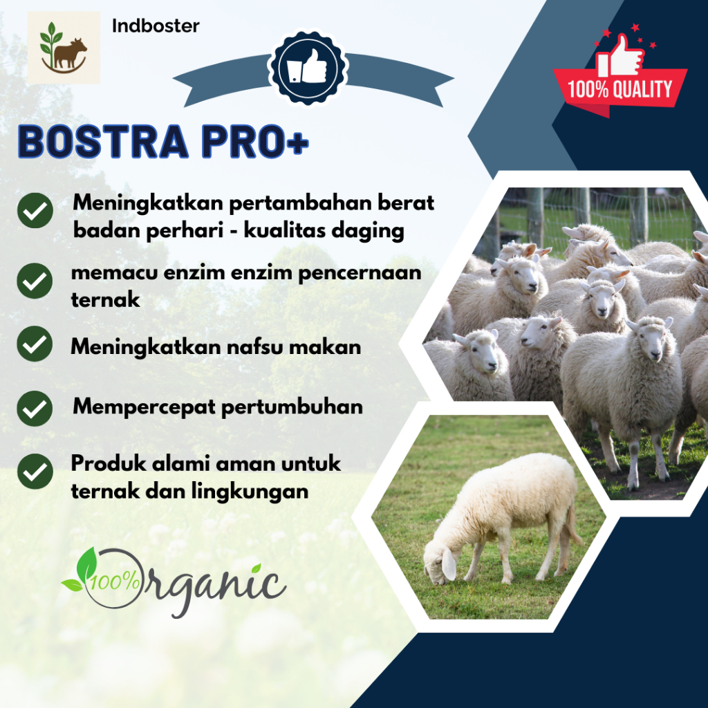 Livvicstore Bostra Pro+ Penggemuk Domba100% Vitamin Domba, Obat Cacing Domba, Domba Cepet Besar