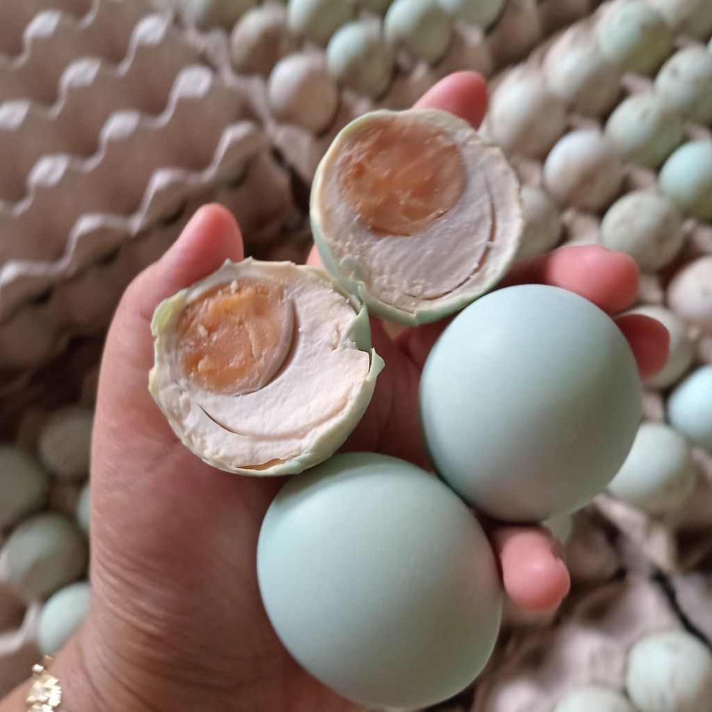 

Telur Asin Matang Enak Masir Murah Ukuran Besar AB Isi 10 Butir