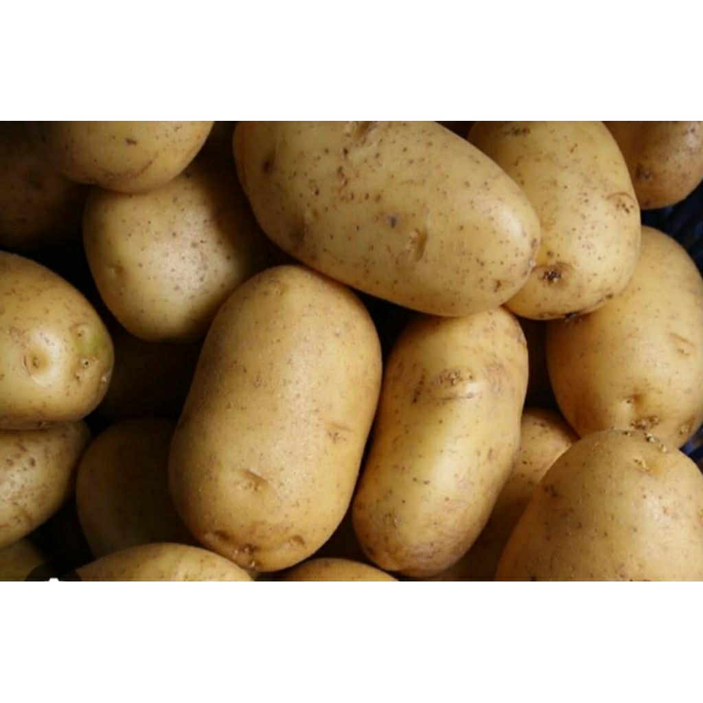 

Kentang fresh 500gr/1kg