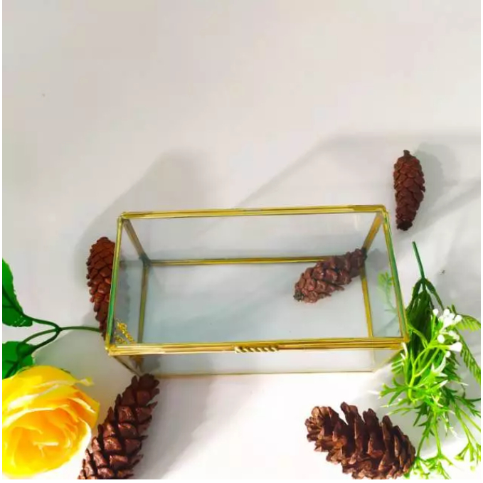 KOTAK UANG | TERARIUM KOTAK MAHAR | GLASS BOX | BOX HAMPERS (FREE PACKING KAYU)