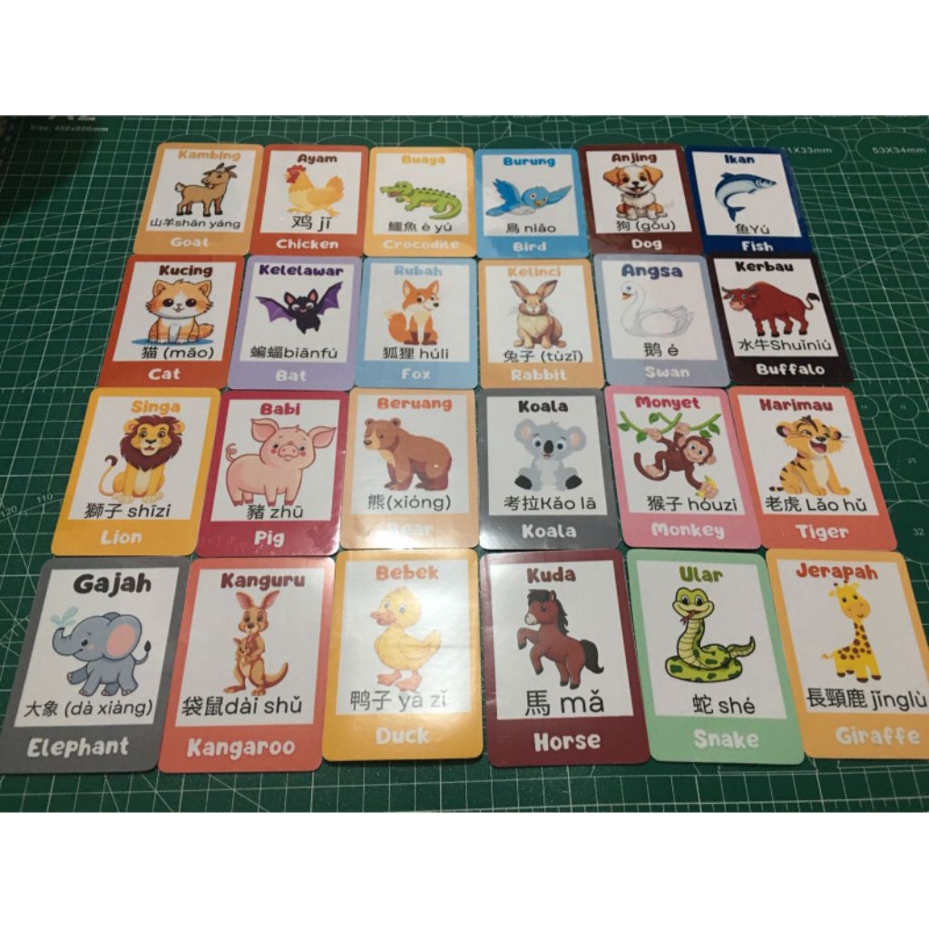 flash card tentang hewan , flash card 3 bahasa