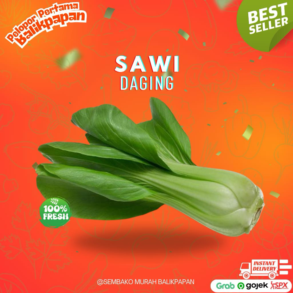 

sawi daging / pakcoy (naik 17 sept)