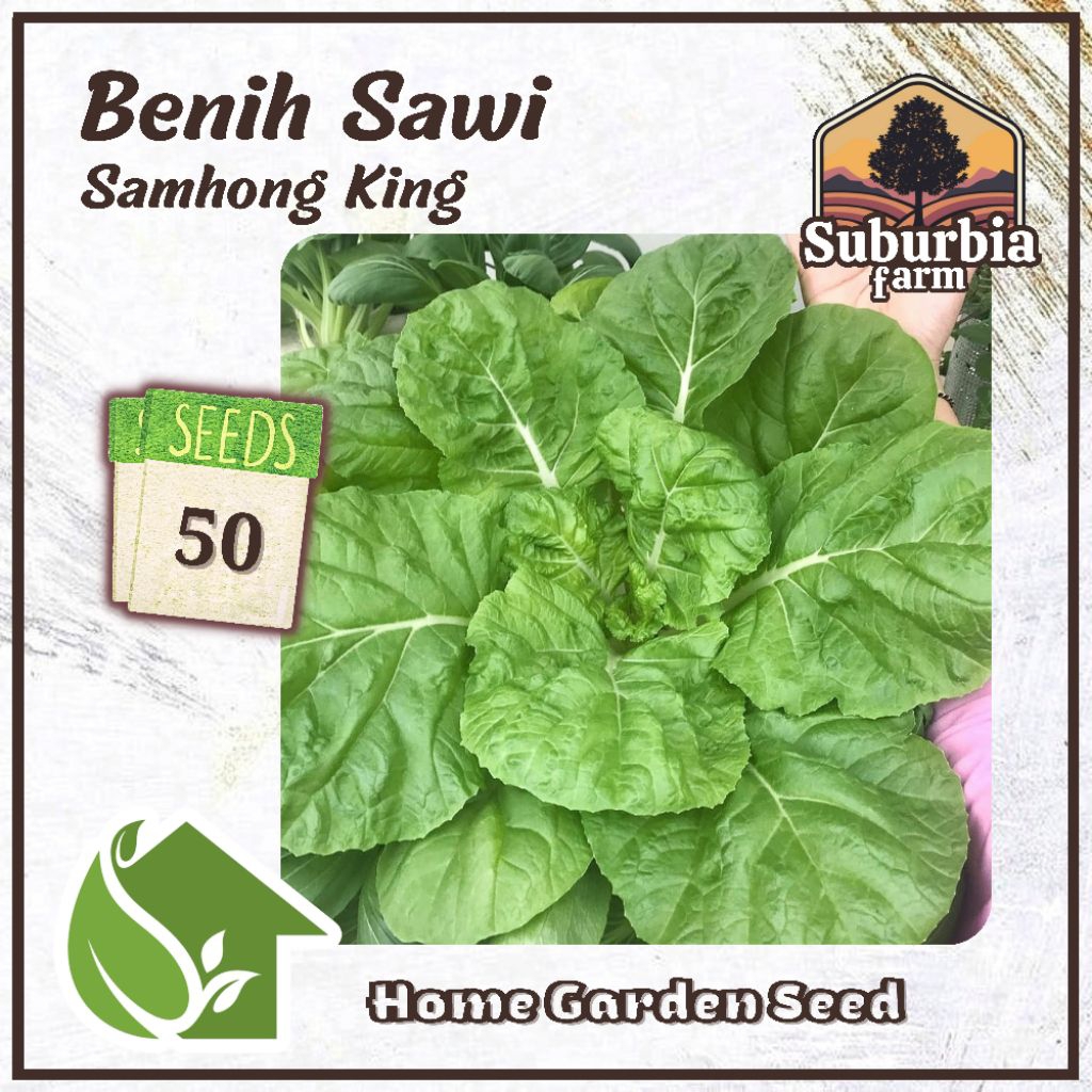 50 Biji Benih Sawi Samhong King