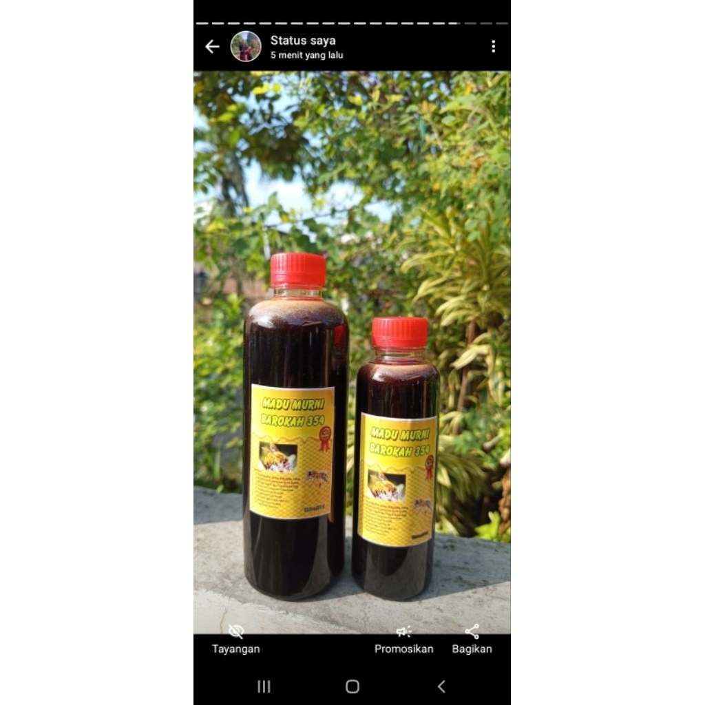 

madu klanceng liar 500ml