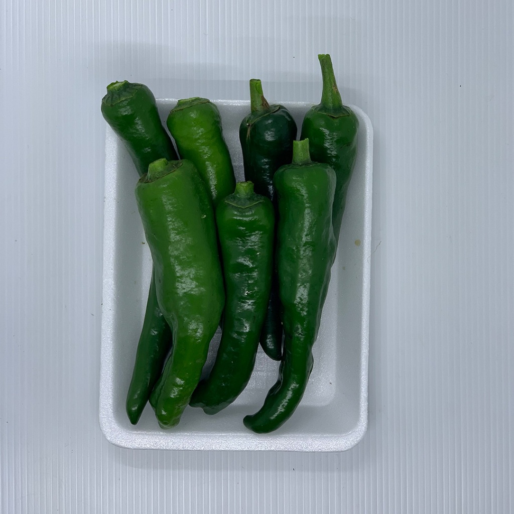 

Cabe Hijau TW 200gr | Cabe Hijau Besar Segar | Sayuran Fresh Tani Kita Lembang