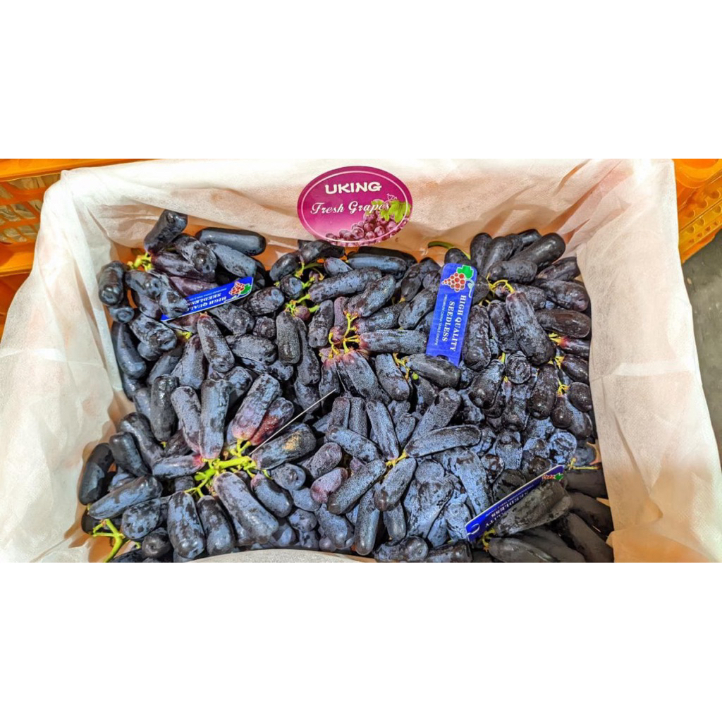 

ANGGUR JARI SWEET SAPPHIRE CURAH / PACK RRC IMPORT