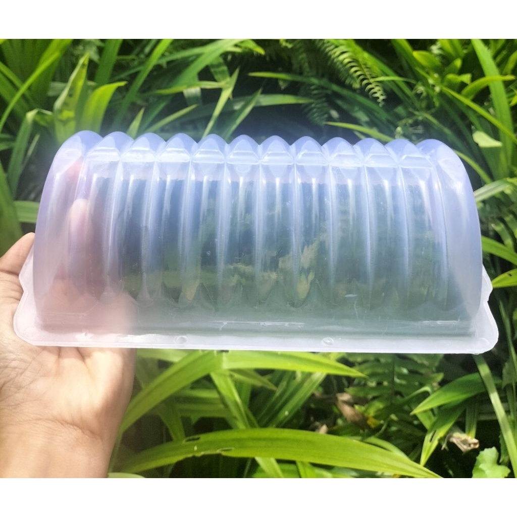 cetakan puding semangka