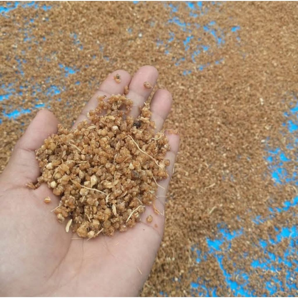 

TIWOL KUNING SUPER 1KG BERAS TIWUL KUNING