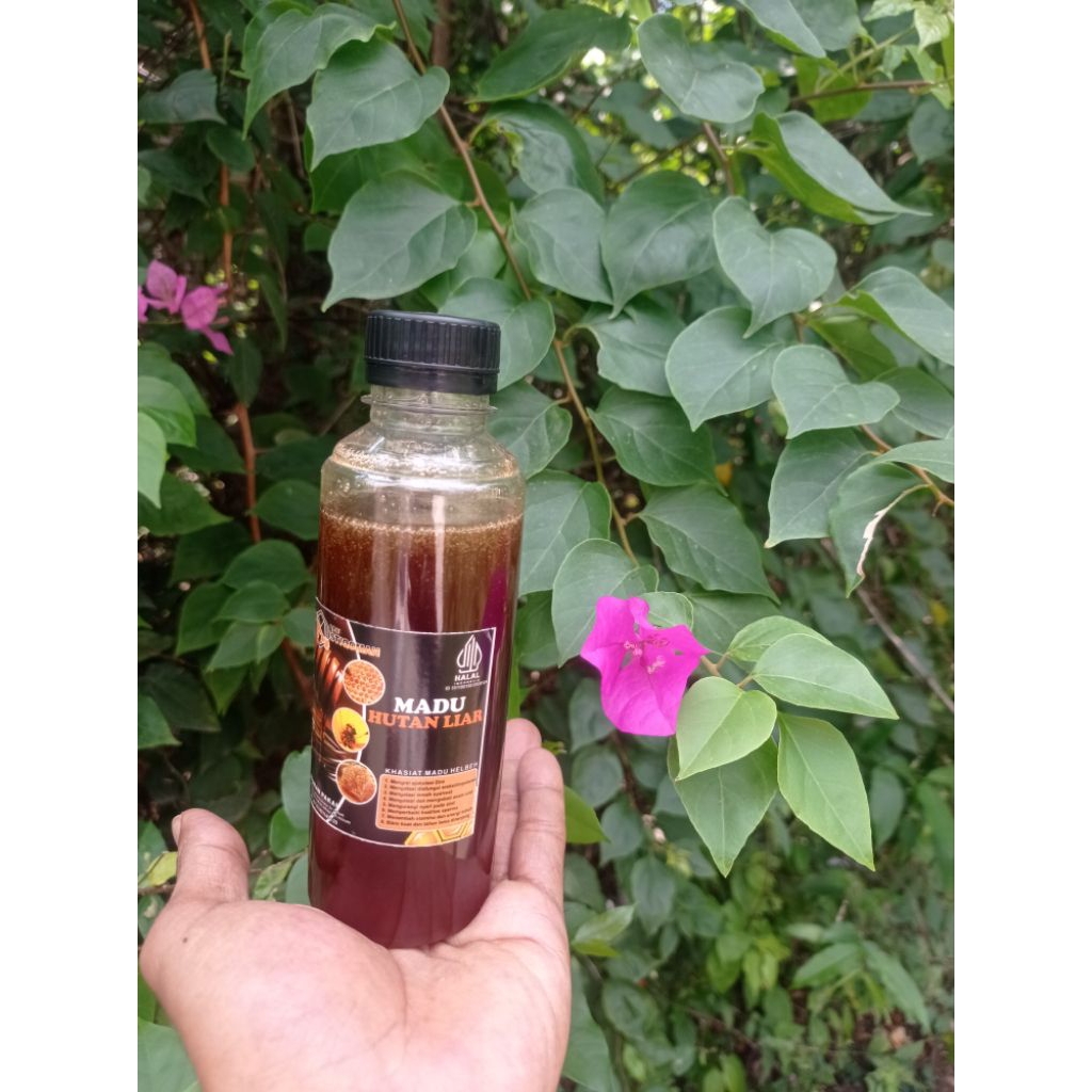 

madu hutan liar Sialang 300g