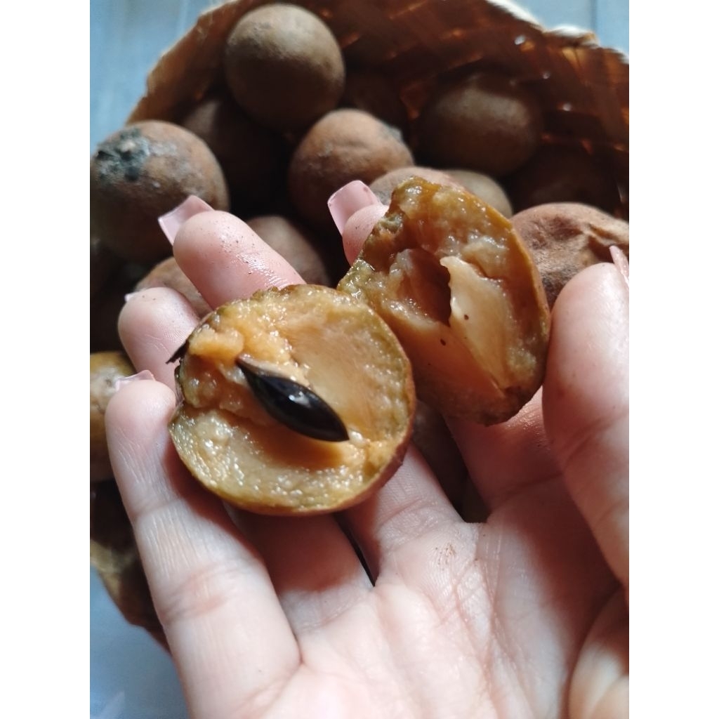 

Sawo Madu Ukuran Mini 1 kg Rasa Manis