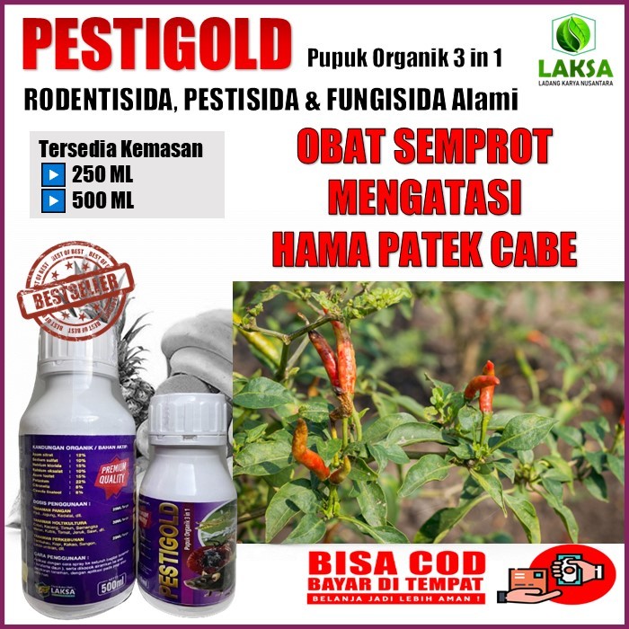 Pupuk organik atasi hama patek cabe - PESTIGOLD Pupuk Organik 3 in 1  RODENTISIDA, PESTISIDA & FUNGI