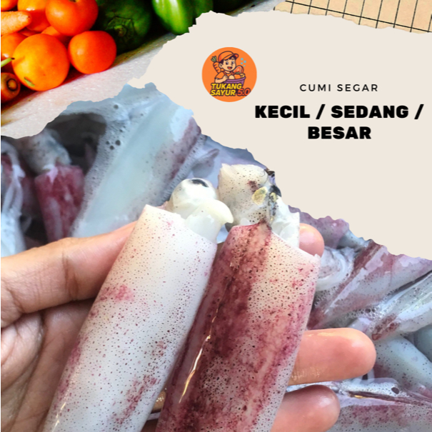 CUMI SEGAR BATAM (UKURAN SEDANG)