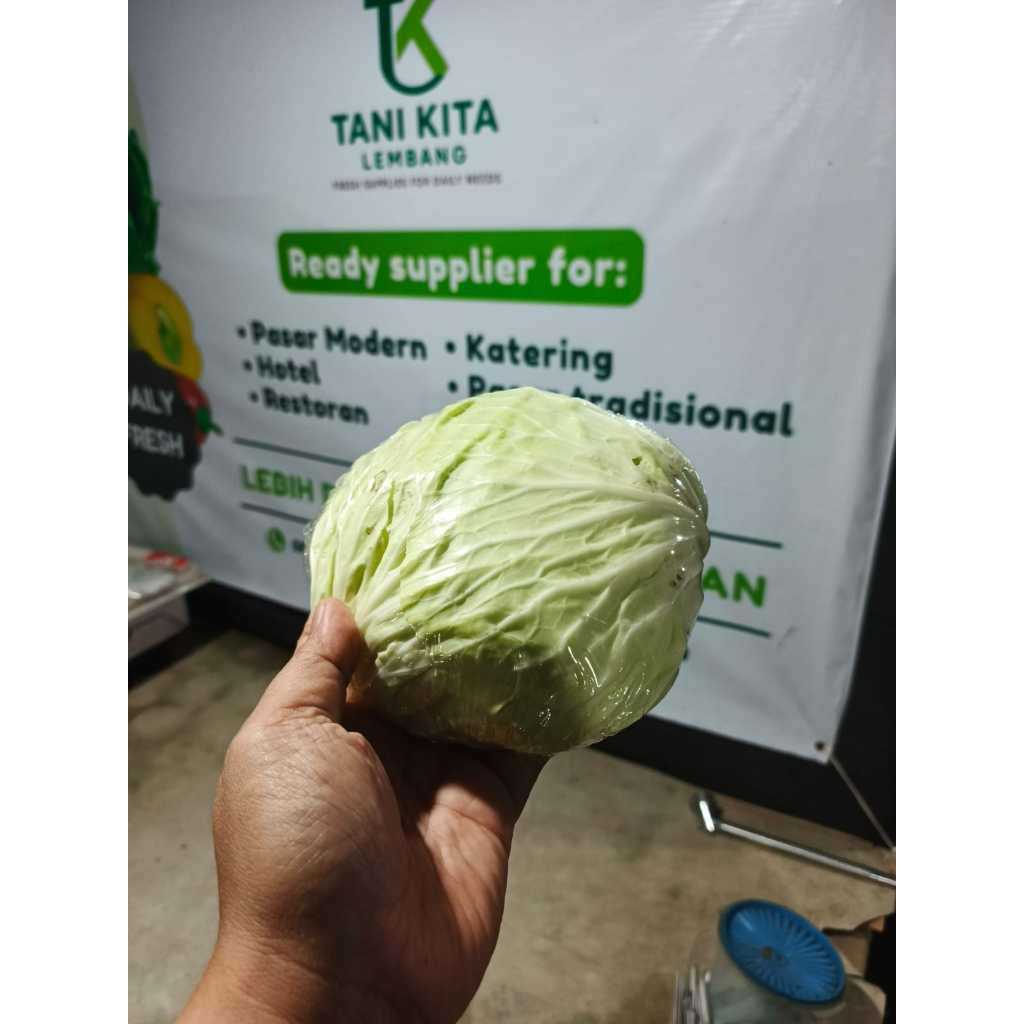 

Kol Putih 500gr | Kubis Putih Segar | Sayuran Fresh Tani Kita Lembang