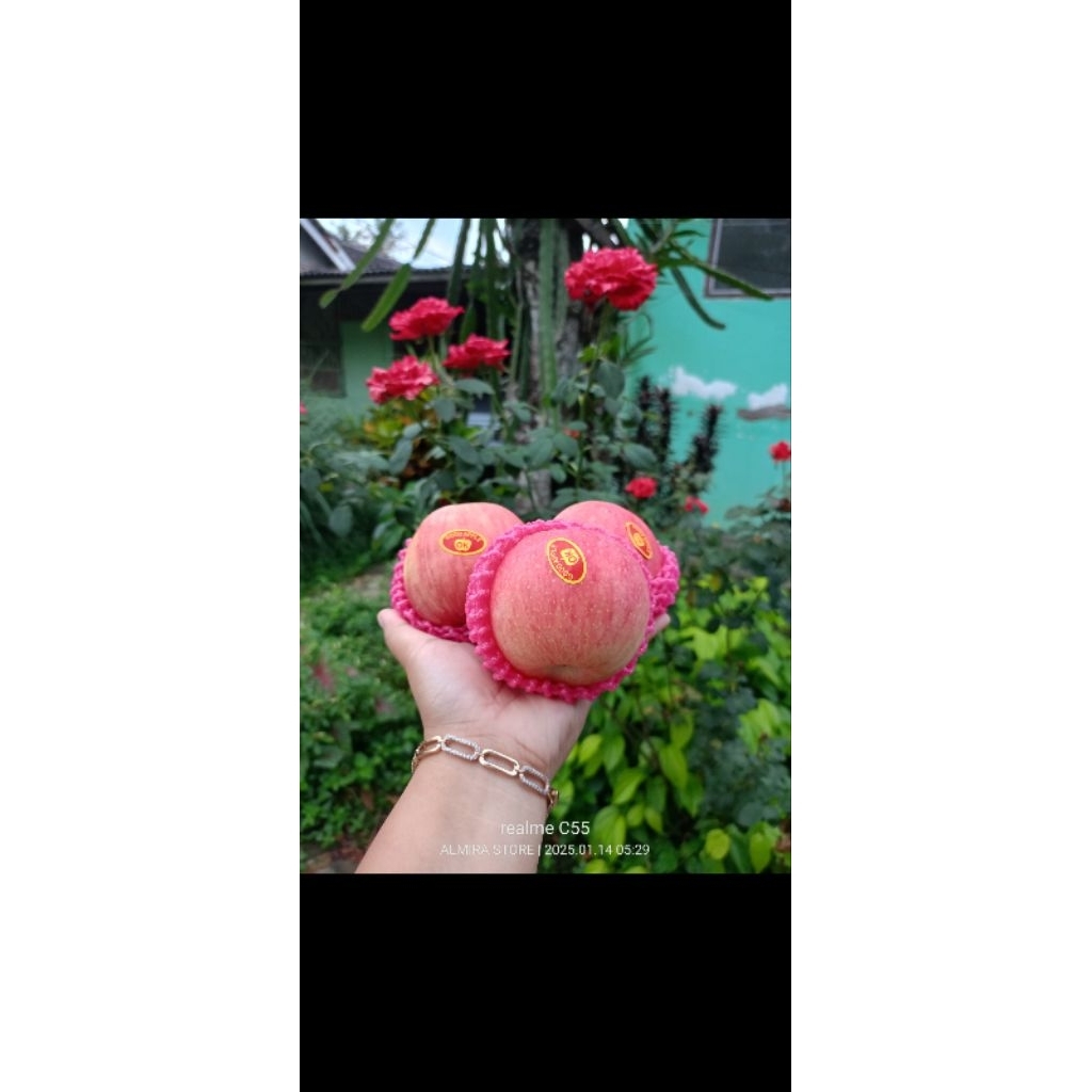 

apel murah manis legit