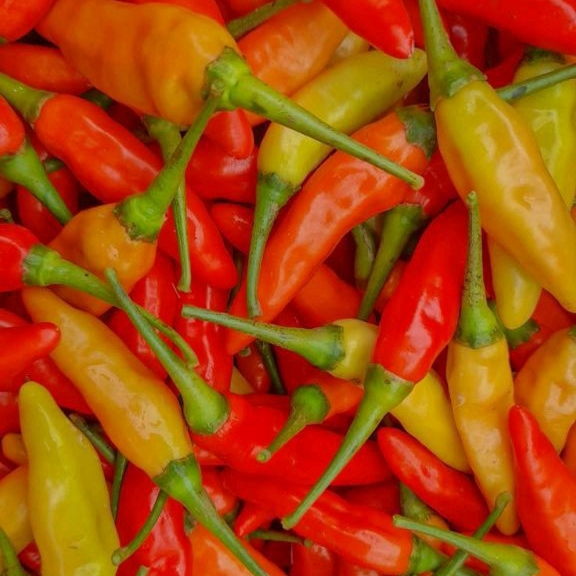 

Cabe Rawit Merah 500gr