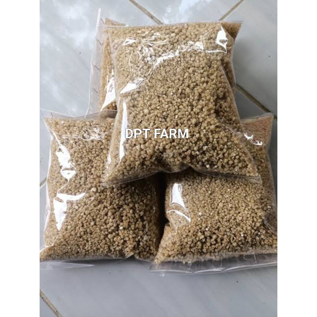 

Tiwul Instan – Nasi Singkong Oyek Tradisional Sehat Rendah Gula Cocok Diet & Diabetes 500 Gram | DPT FARM