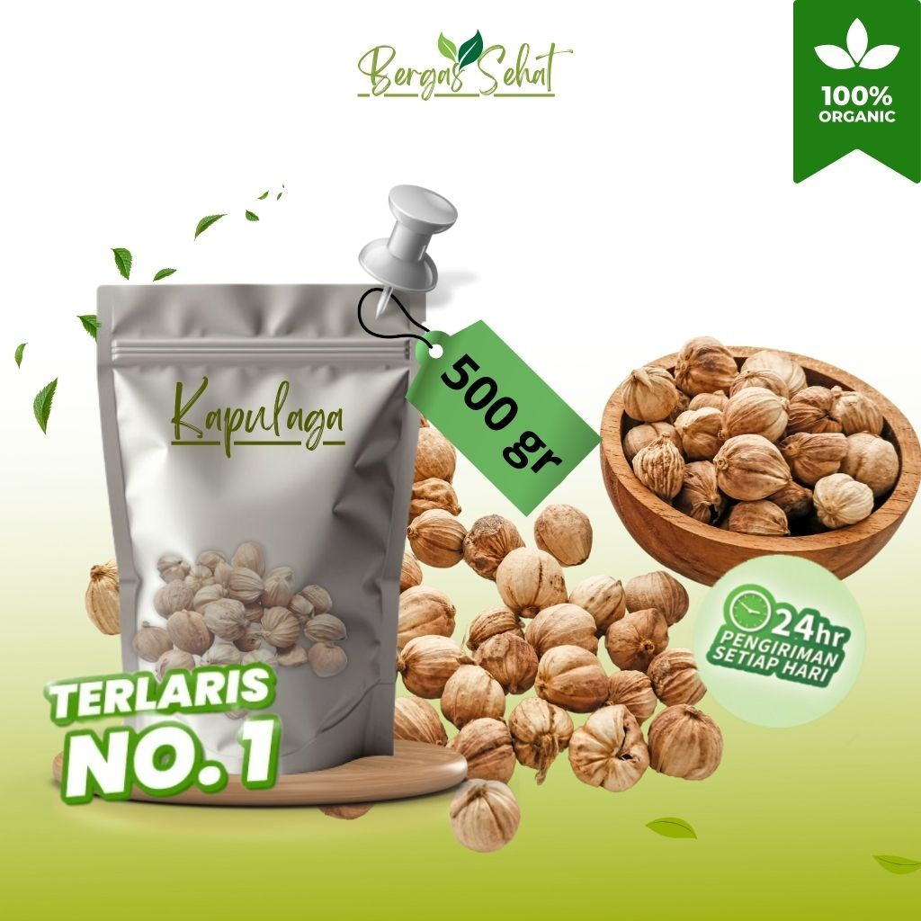 

Kapulaga kering Super Organik 500 gram fresh dari petani untuk bumbu dapur memasak rempah herbal