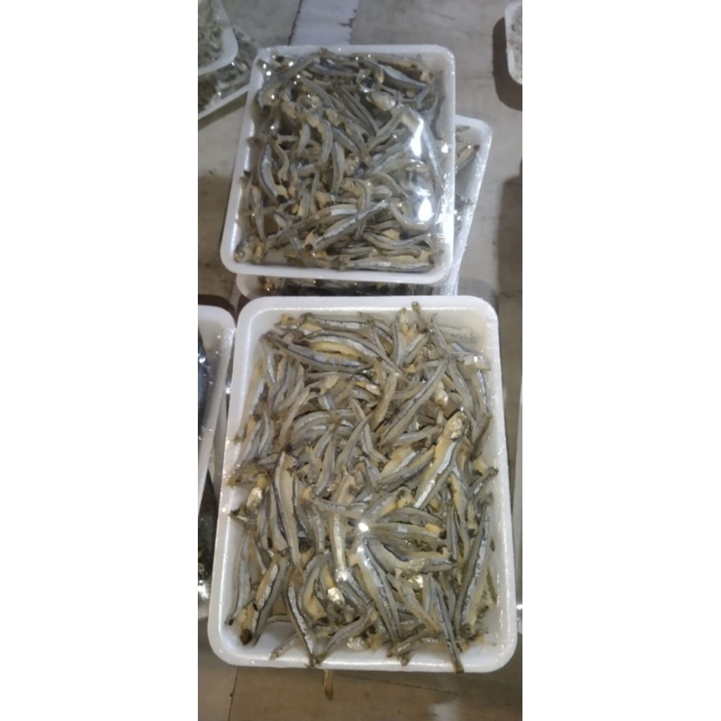 

ikan asin streofoam teri jengki