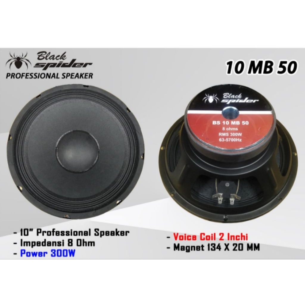 SPEAKER BLACK SPIDER 10 INCH 10 MB 50