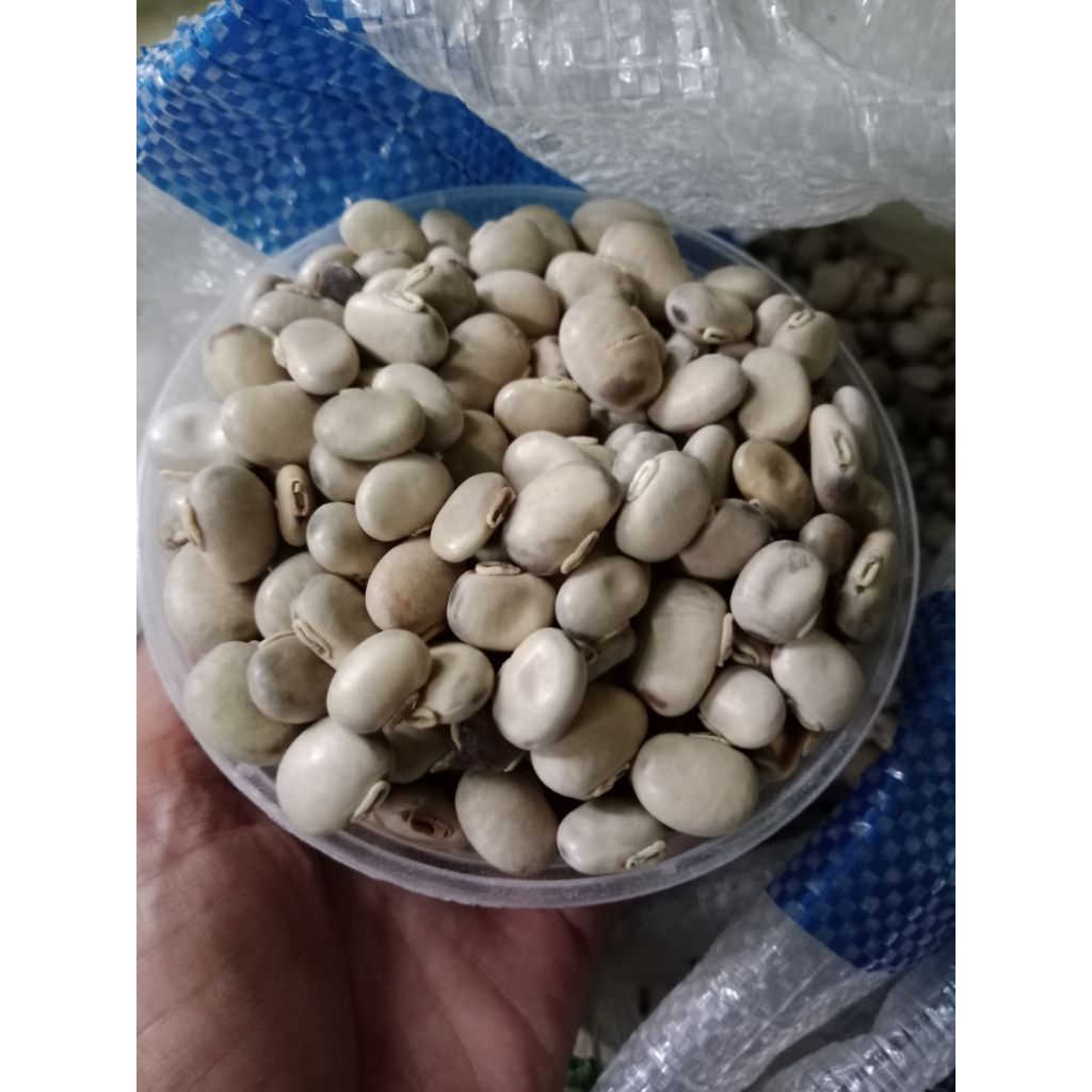 

kacang koro benguk mentah 500gram