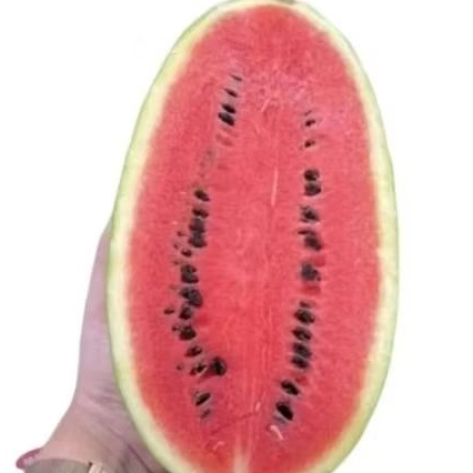 

semangka super manis semangka segar baby super sweet /pcs