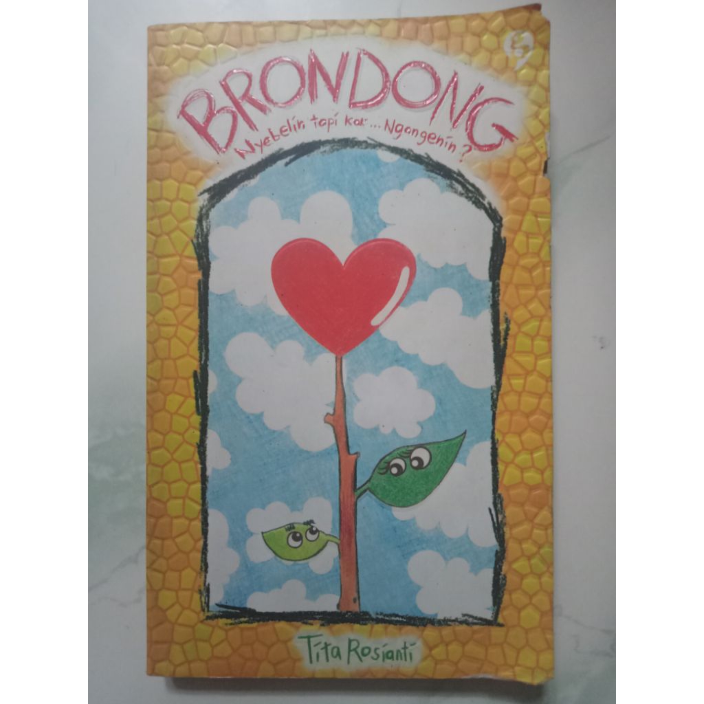 Buku Novel Brondong Tita Rosianti