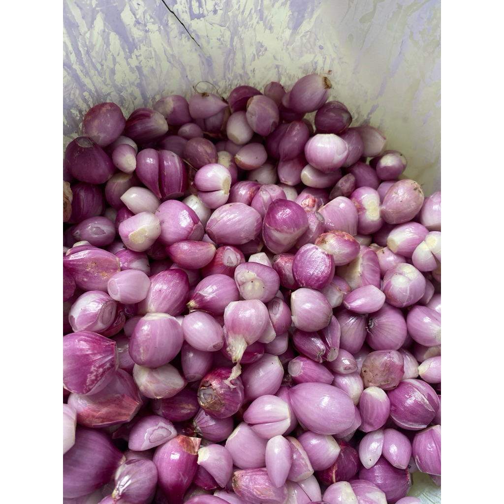 

bawang merah kupas 1kg