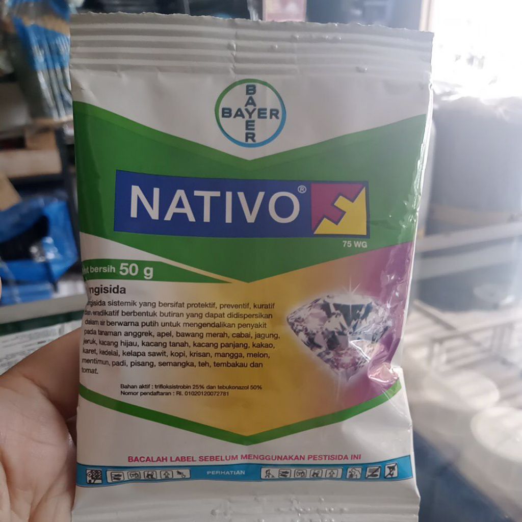 nativo 50gr bayer fungisida