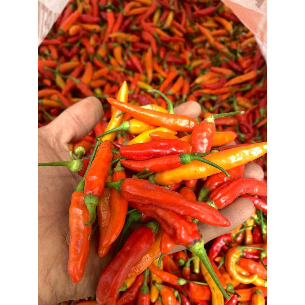 

Cabe Rawit Setannnn 500g