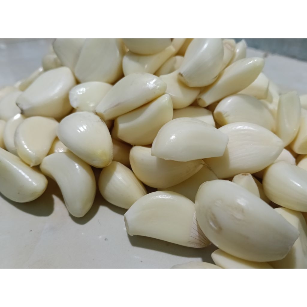 

Bawang putih kupas area Makassar